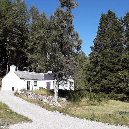 Torgoyle Cottage Inverness Eksteriør bilde