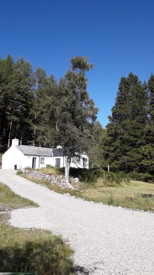 Torgoyle Cottage Inverness Eksteriør bilde